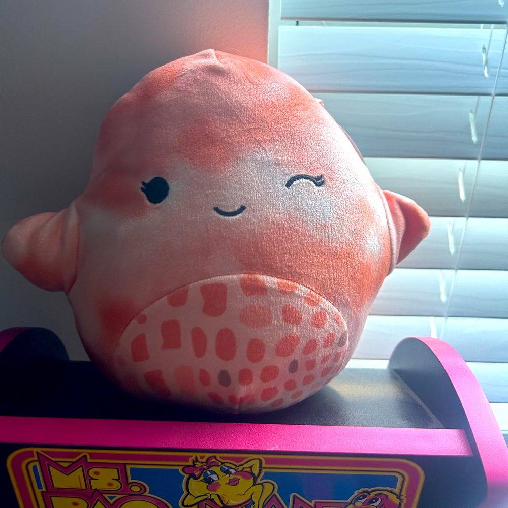 Livvy 8” nwt starfish squishmallow